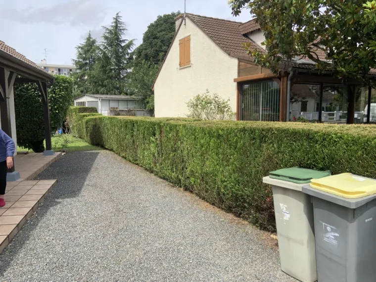 Taille de haie et d’arbustes et le ramassage de végétaux à Saint-Jean blanc , Orléans, Maël Elagage
