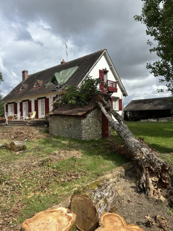 Intervention pour débitage de peupliers à Belgarde, Orléans, Maël Elagage