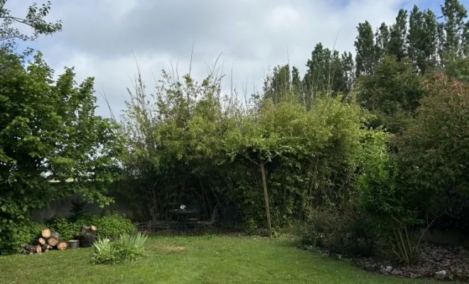 abattage débitage et rognage d'un sapin et cerisier à saint jean de braye, Orléans, Maël Elagage